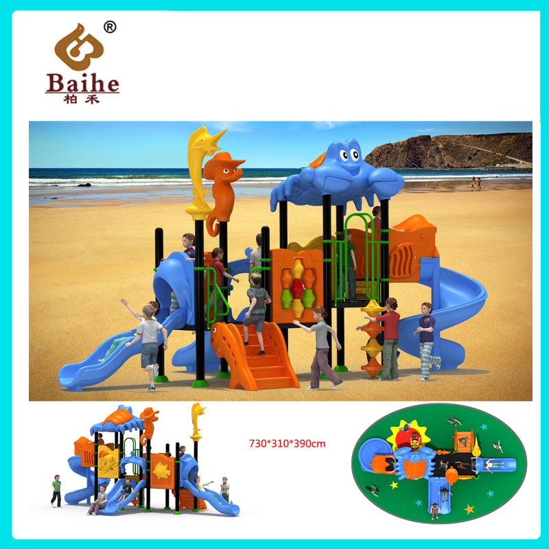 Playground Equipment BH013