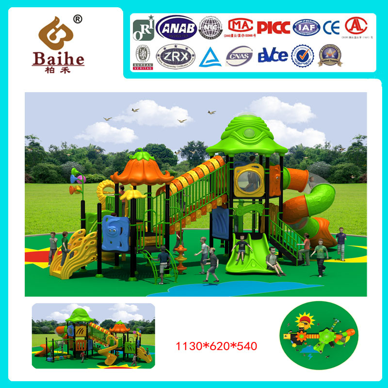 Playground Equipment BH021