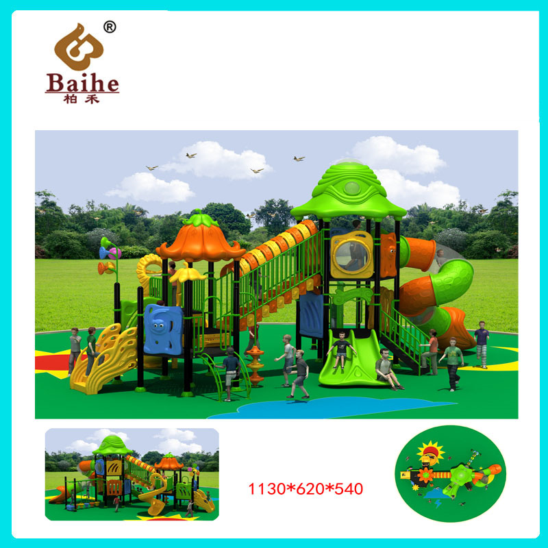 Playground Equipment BH021