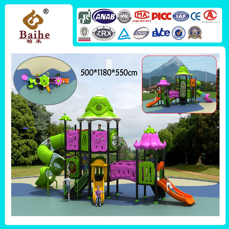 Playground Equipment BH023