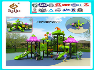 Playground Equipment BH024