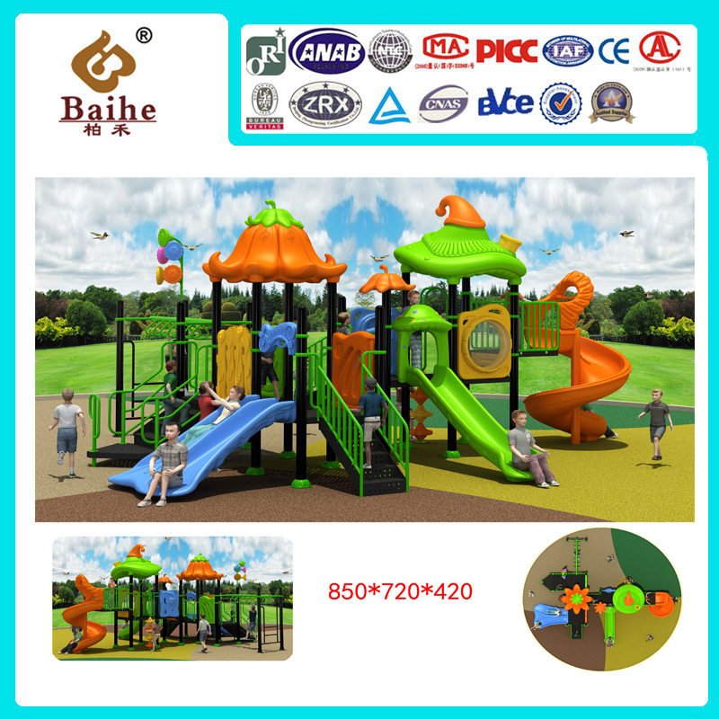 Playground Equipment BH036